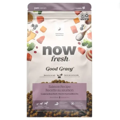 22lb Now Fresh Good Gravy Adult Salmon Recipe with Ancient Grains for dogs - Food